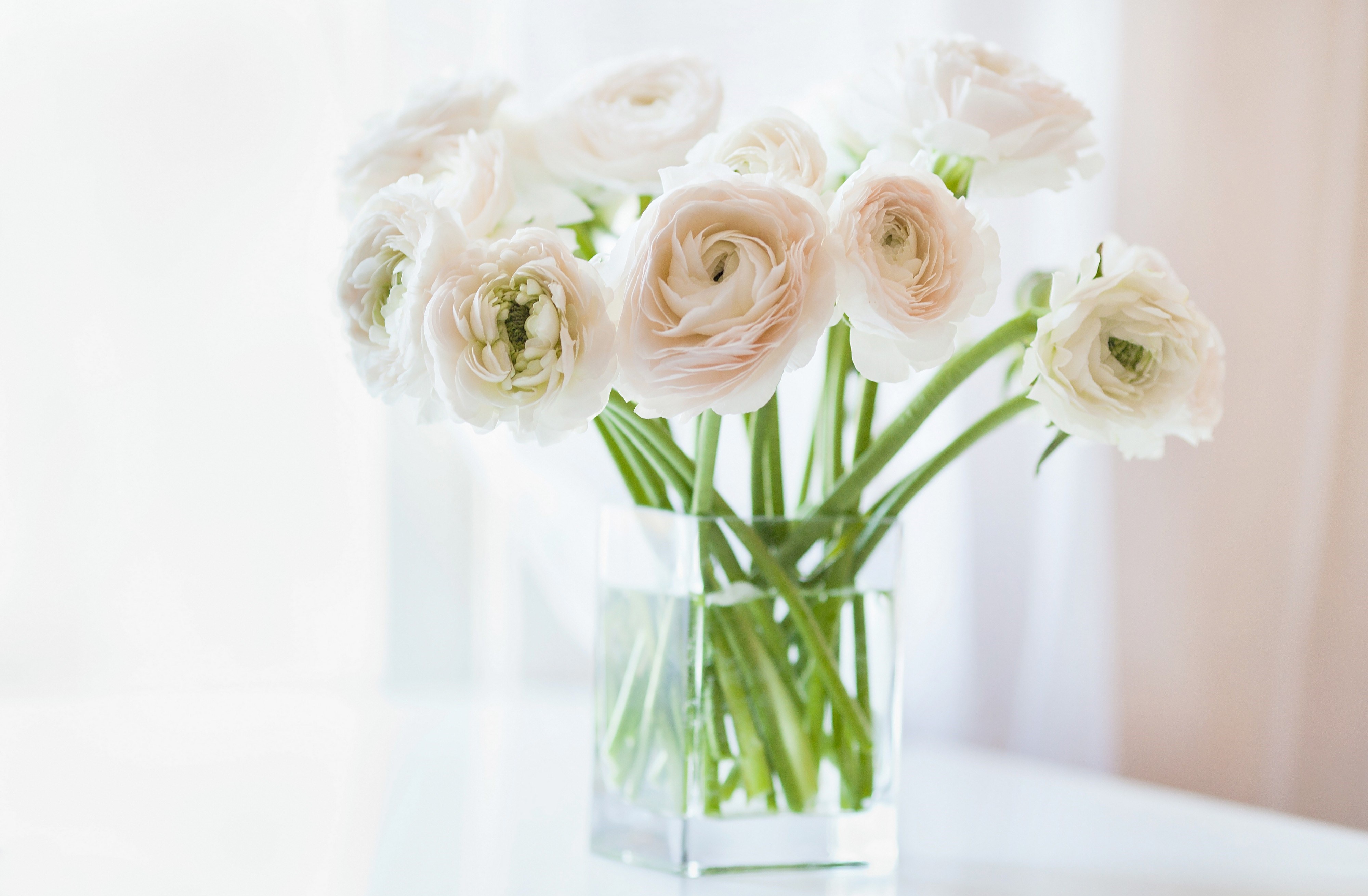 Vases à fleurs