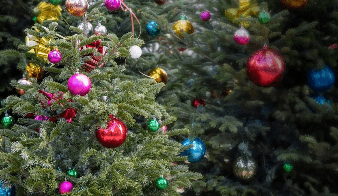 Rien de mieux qu'un sapin de Noël naturel pour sublimer les fêtes : notre guide