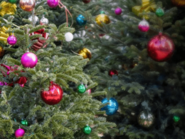 Rien de mieux qu'un sapin de Noël naturel pour sublimer les fêtes : notre guide
