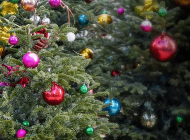 Rien de mieux qu'un sapin de Noël naturel pour sublimer les fêtes : notre guide