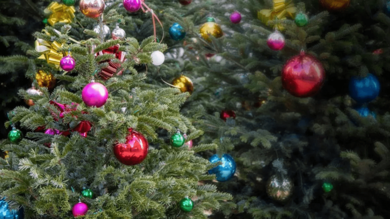 Rien de mieux qu'un sapin de Noël naturel pour sublimer les fêtes : notre guide