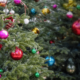 Rien de mieux qu'un sapin de Noël naturel pour sublimer les fêtes : notre guide